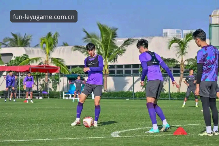乐鱼体育官网 vs 第三方聚合平台：乐鱼APP最新版对比评测